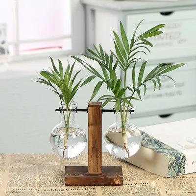 Hydroponic Transparent Plant Vase